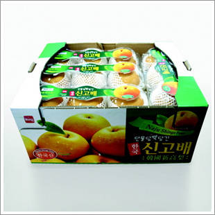 Korean Shingo Pear  Made in Korea